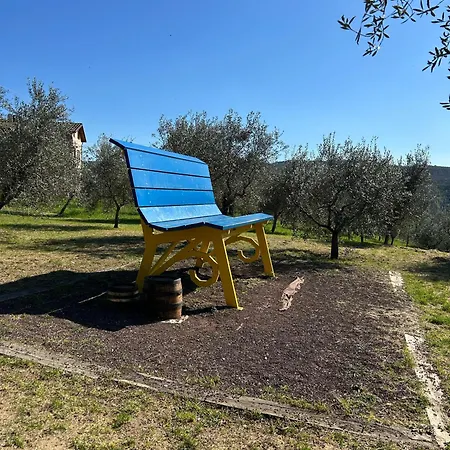 Le Cupe Corciano