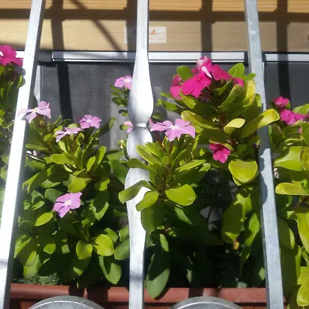 Apartamento Le Cupe Corciano