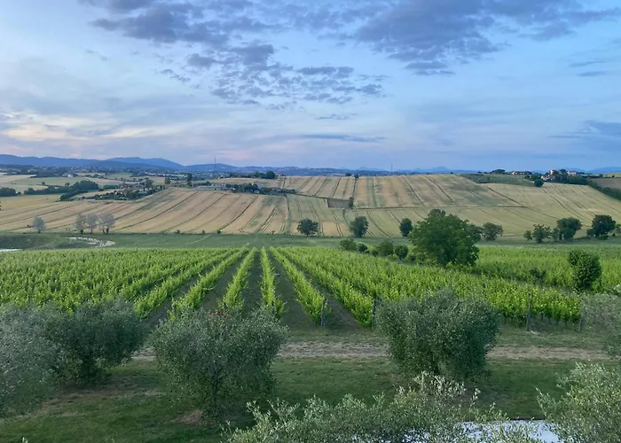 Le Cupe Apartment Corciano