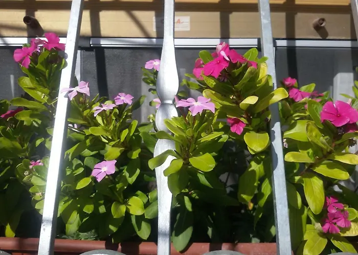 Apartment Le Cupe Corciano